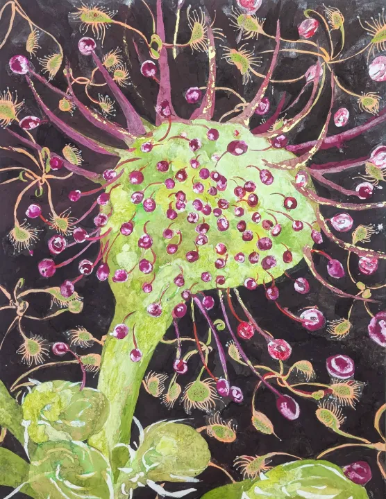 『湿地の誘い』2025