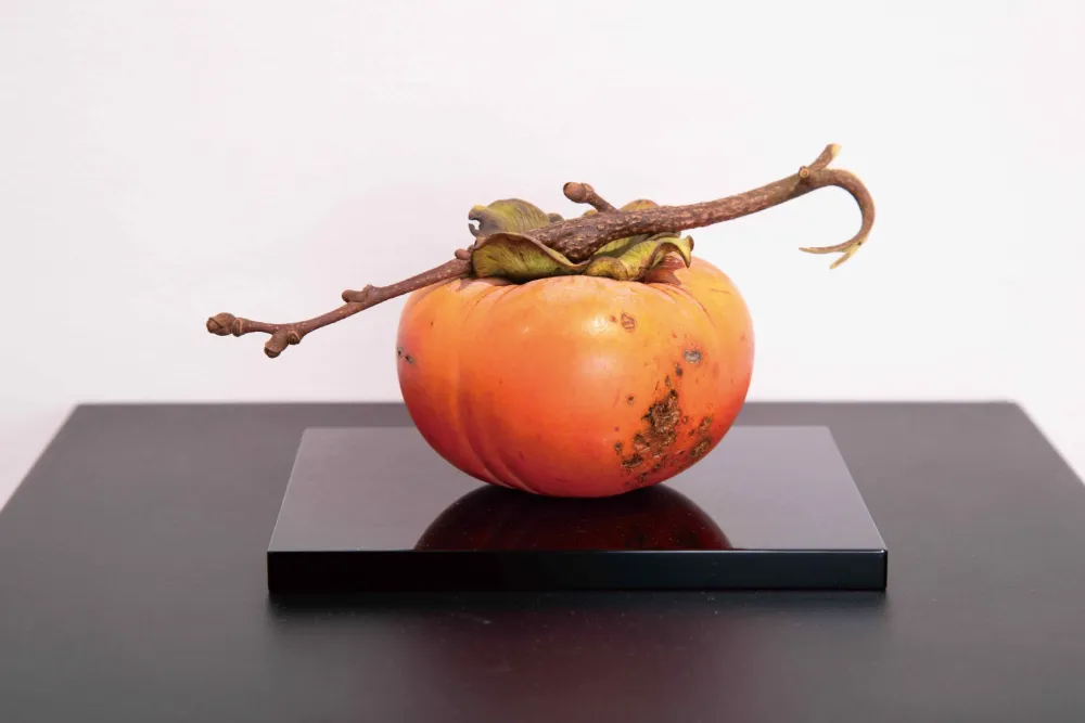 ©︎Tsutomu Iwasaki photo by Ryouko Yashim