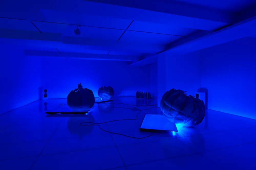 요한한, 《엮는 자》 아라리오갤러리 서울, 2025 전시전경 ⓒ Yohan HÀN. Courtesy of the Artist and Arario Gallery.