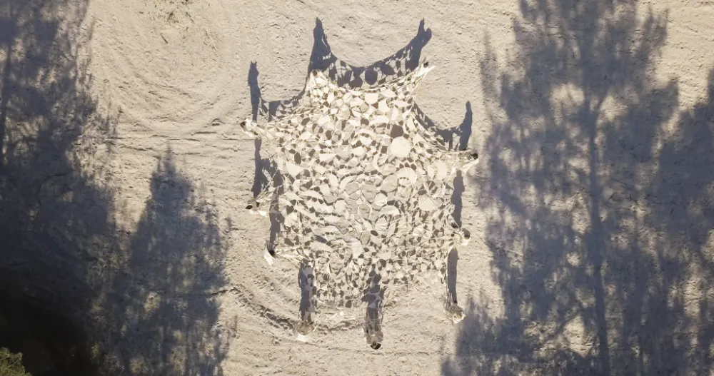 Nefeli Papadimouli | Être forêts (We Are Forests) | 2021 | Video installation | 13 分43 秒 ©Nefeli Papadimouli- Collection FRAC Grand Large — Hauts-de-France